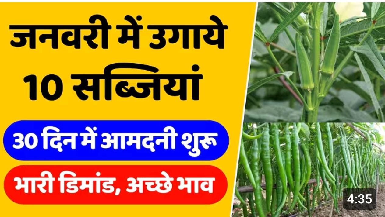 लगायें ये सब्जीया,